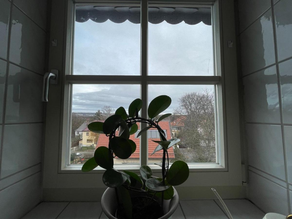 Ferienwohnung Kulturgenuss Am Goethewanderweg Weimar  Exterior foto